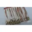Whiting 100 Saddle Hackle Pack in Medium Ginger